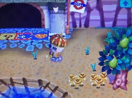 Animal Crossing Wild World Town Entrance