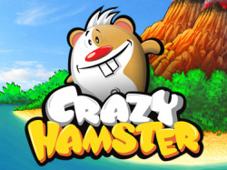 Crazy Hamster Cover