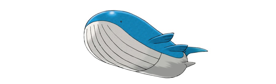 Wailord's usual blue colouring. If you spot a purple Wailord, you've found a shiny!