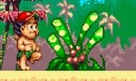 Review: Super Adventure Island (Virtual Console / Super Nintendo)