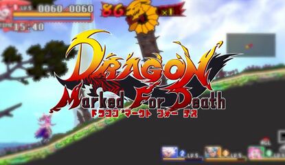 Dragon: Marked for Death is the Next Game From Inti Creates - Exclusive on Switch