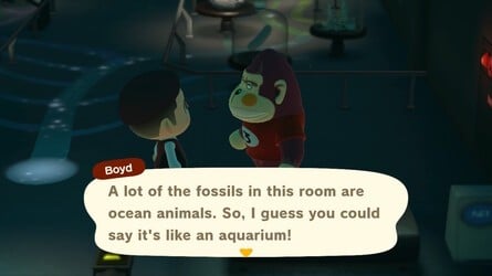 Boyd Fossils Animal Crossing New Horizons