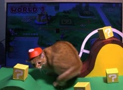 This Cat Fails to Get Into the Super Mario 3D World Spirit
