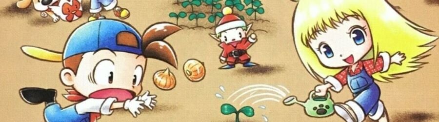 Puzzle de Harvest Moon (DS)