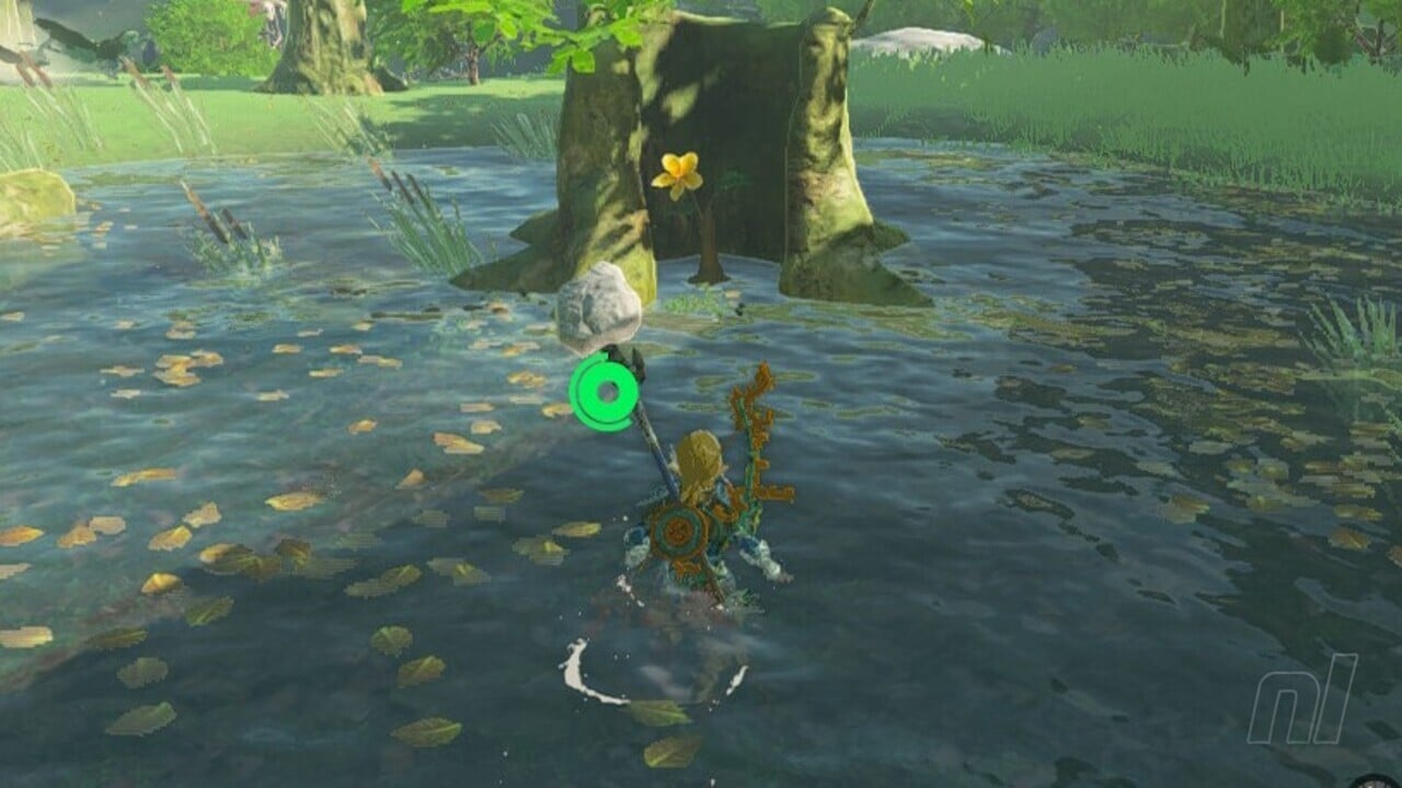 Zelda：王國的眼淚：中央Hyrule Korok種子