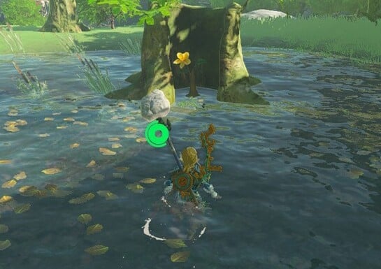 Zelda: Tears Of The Kingdom: Central Hyrule Korok Seeds