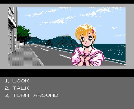 Although the game was never officially localised for the West, a fan translation is available to download