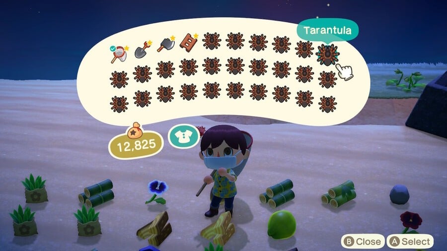 Animal Crossing New Horizons Tarantulas