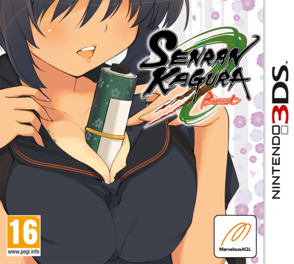 Senran Kagura Burst 3DS Review: Memoirs Of The Well-Endowed