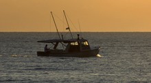 Reel Fishing Ocean Challenge