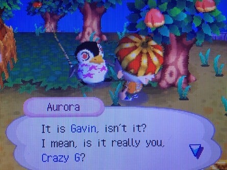 Animal Crossing Wild World Aurora