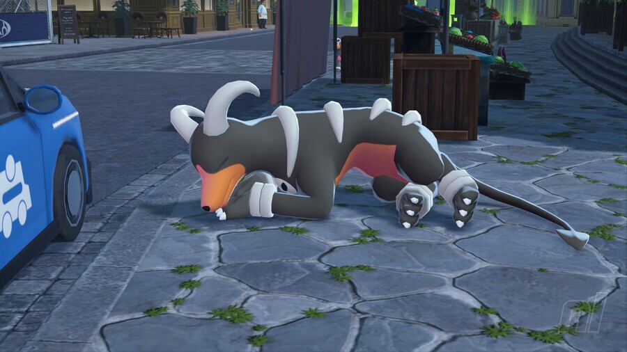 Wild Zone 6 Pokémon Legends: Z-A