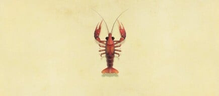 11. Crawfish Animal Crossing New Horizons Fish