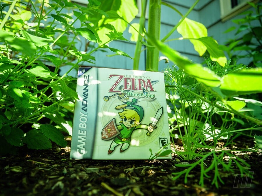 Minish Cap