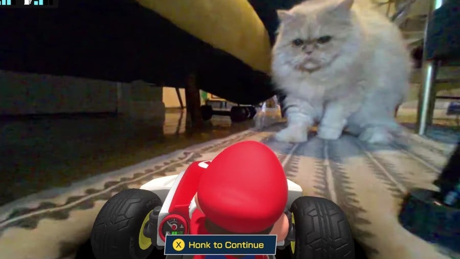 Mario Kart Live vs Cats