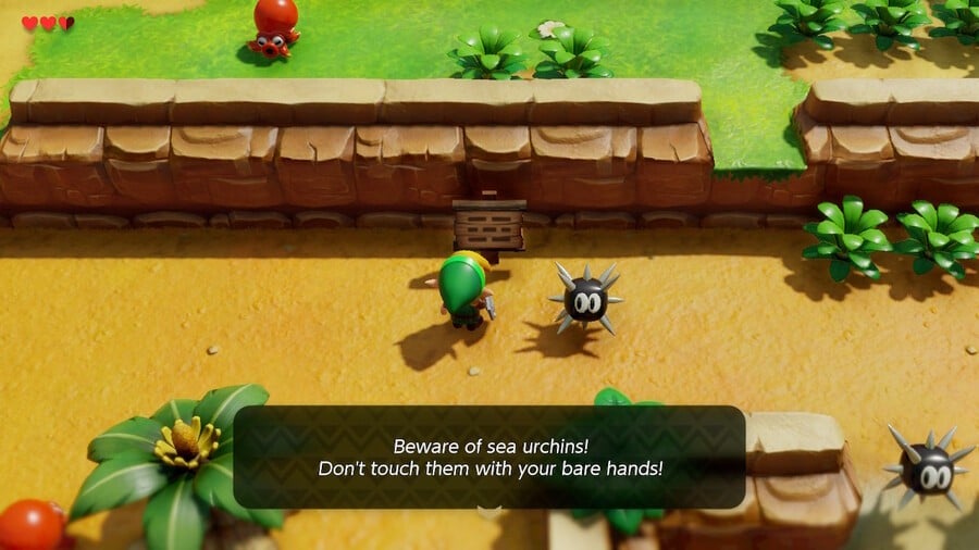Link reads a helpful sign post about sea urchins