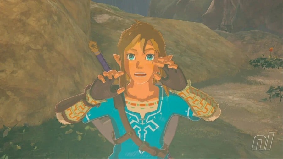 Zelda: Breath of the Wild Shocked Link