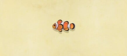 49. Clown Fish Animal Crossing New Horizons Fish