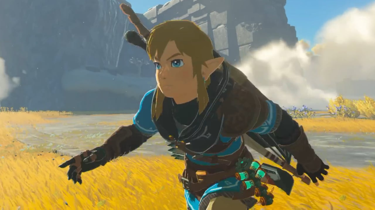 Link (The Legend of Zelda: Tears of the Kingdom) - Nintendo Switch