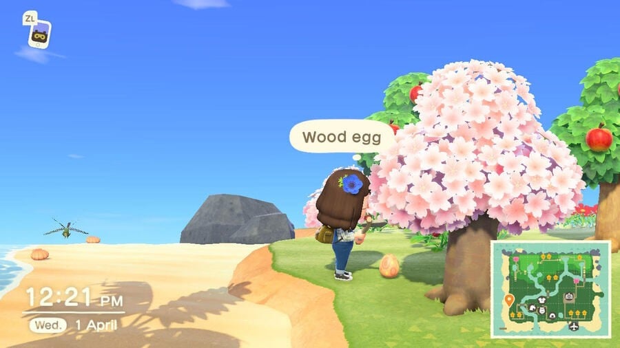 Animal Crossing Bunny Guide 5