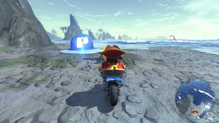 Coastal P Switch 3