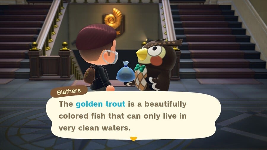 Blathers Golden Trout