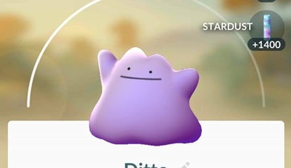 Ditto is Out in the Wild in Pokémon GO