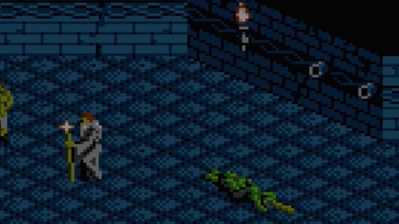 The Immortal (1990), NES Game