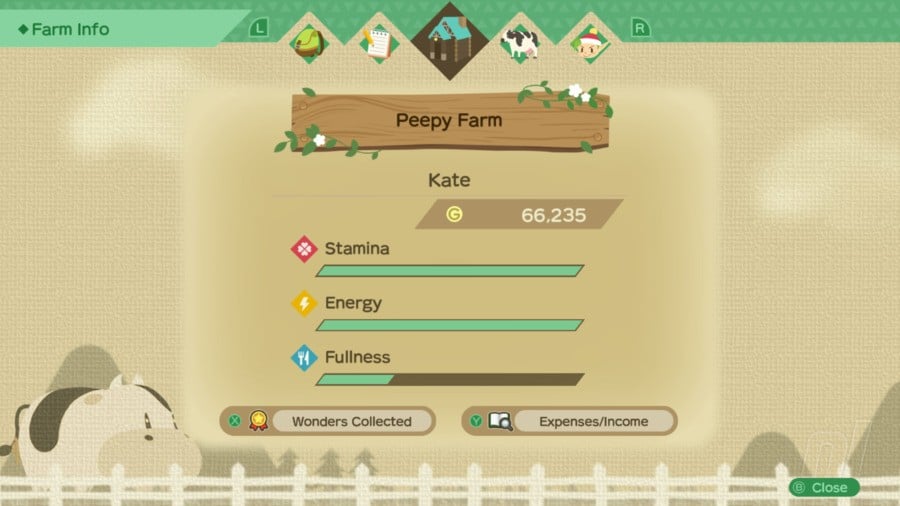 Story Of Seasons: A Wonderful Life - A Beginner's Guide To Making Money, Friends, And More 24