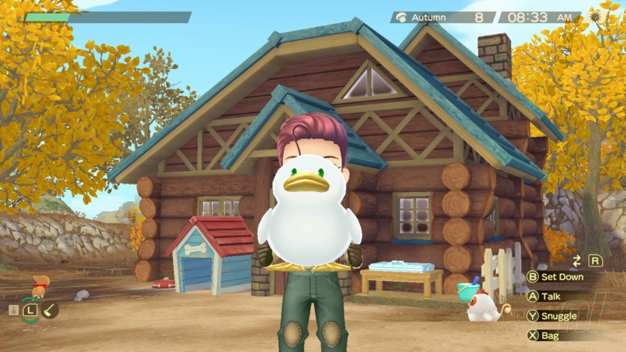 Story Of Seasons: A Wonderful Life - A Beginner's Guide To Making Money, Friends, And More 25