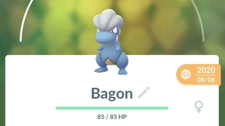 Bagon.PNG