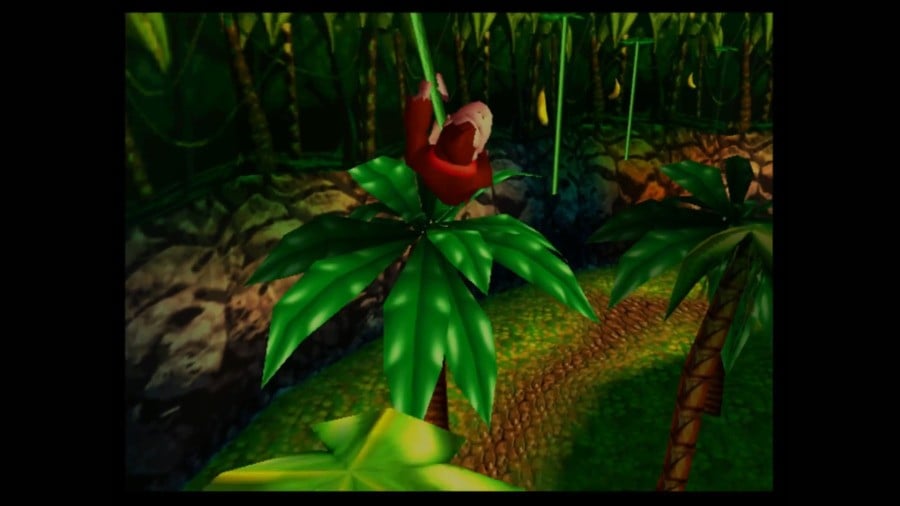 Ballot: K, It is Time To Ask The Glaring – Will We Get Donkey Kong 64 On NSO?