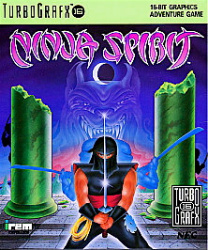 Ninja Spirit Cover