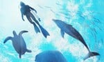 Review: Endless Ocean: Luminous (Switch) - A Meditative Marine Milieu, But Incredibly Shallow