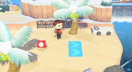 Animal Crossing Mario Kart 8 Beach
