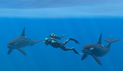 Endless Ocean: Luminous Update Dives Onto Switch, Here Are The Full Patch Notes