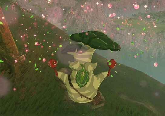 Here's What You Get For Collecting All 900 Korok Seeds In Zelda: Breath Of The Wild