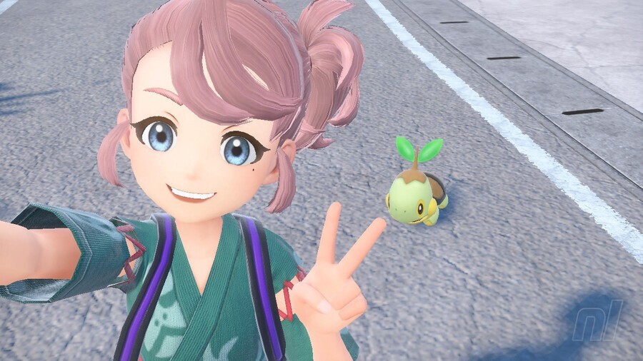 Pokemon The Teal Mask Turtwig