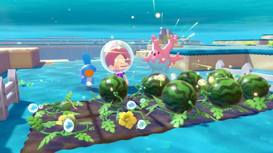 Pokémon Pokopia Bubbly Basin DLC