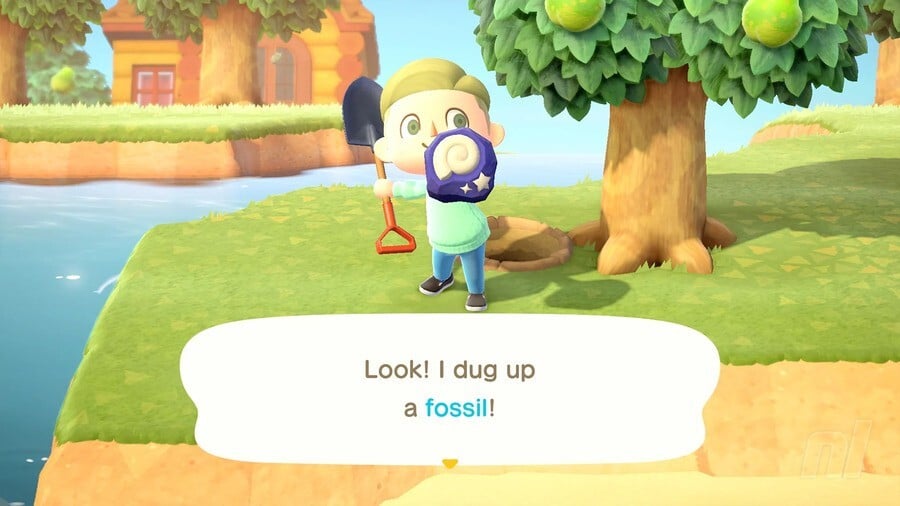 Fossil