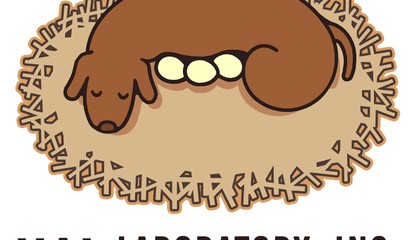 A Celebration of HAL Laboratory - Forever Focused on Fun