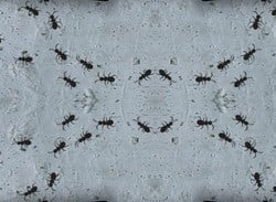 Ant Nation (WiiWare)