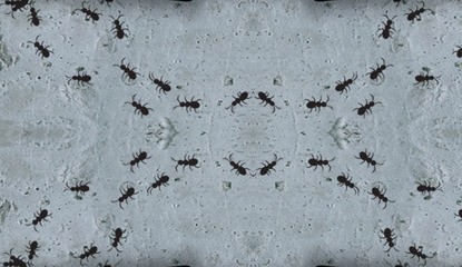 Ant Nation (WiiWare)