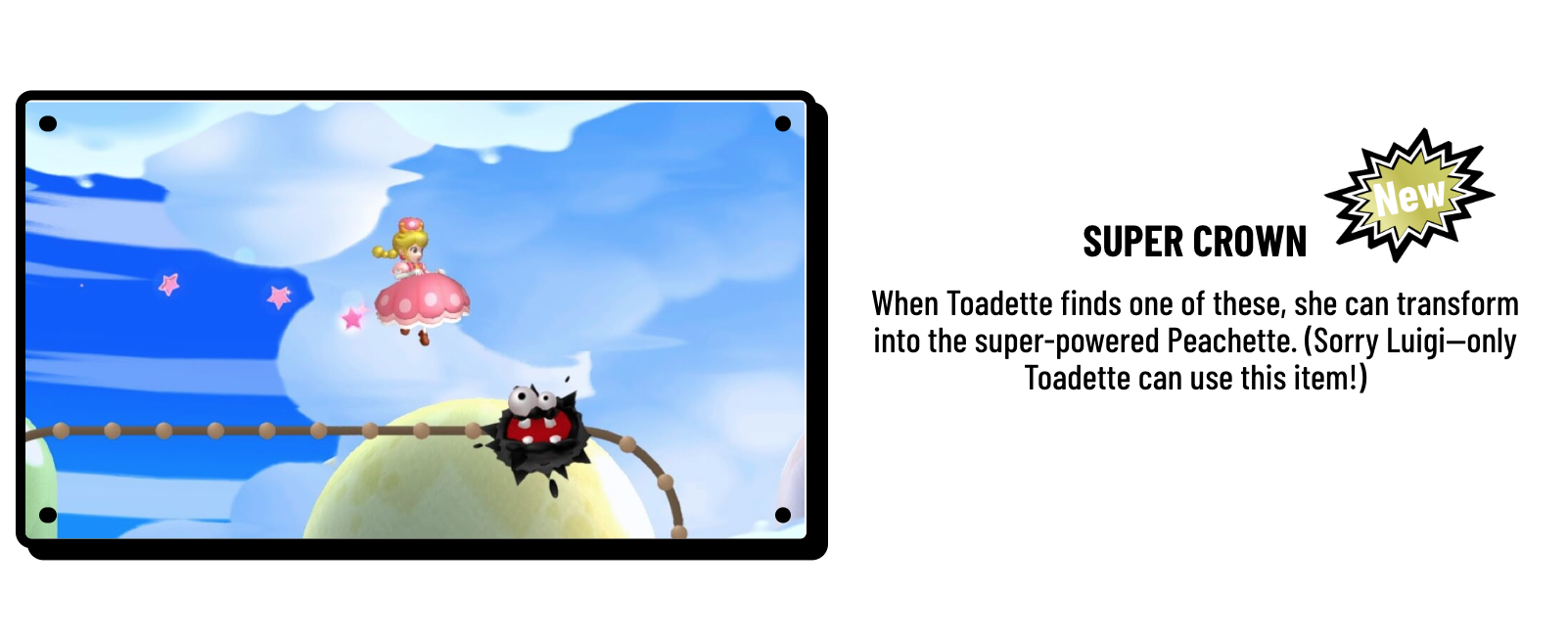 Random Nintendo Confirms Only Toadette Can Wear The Super Crown Bowsette Officially Debunked Nintendo Life