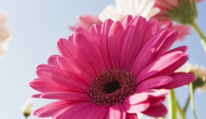 Photo Clock (DSiWare)