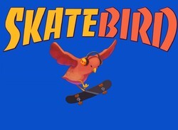 SkateBIRD Is No Longer Landing On Switch In 2020, Gets Pushed To Next Year