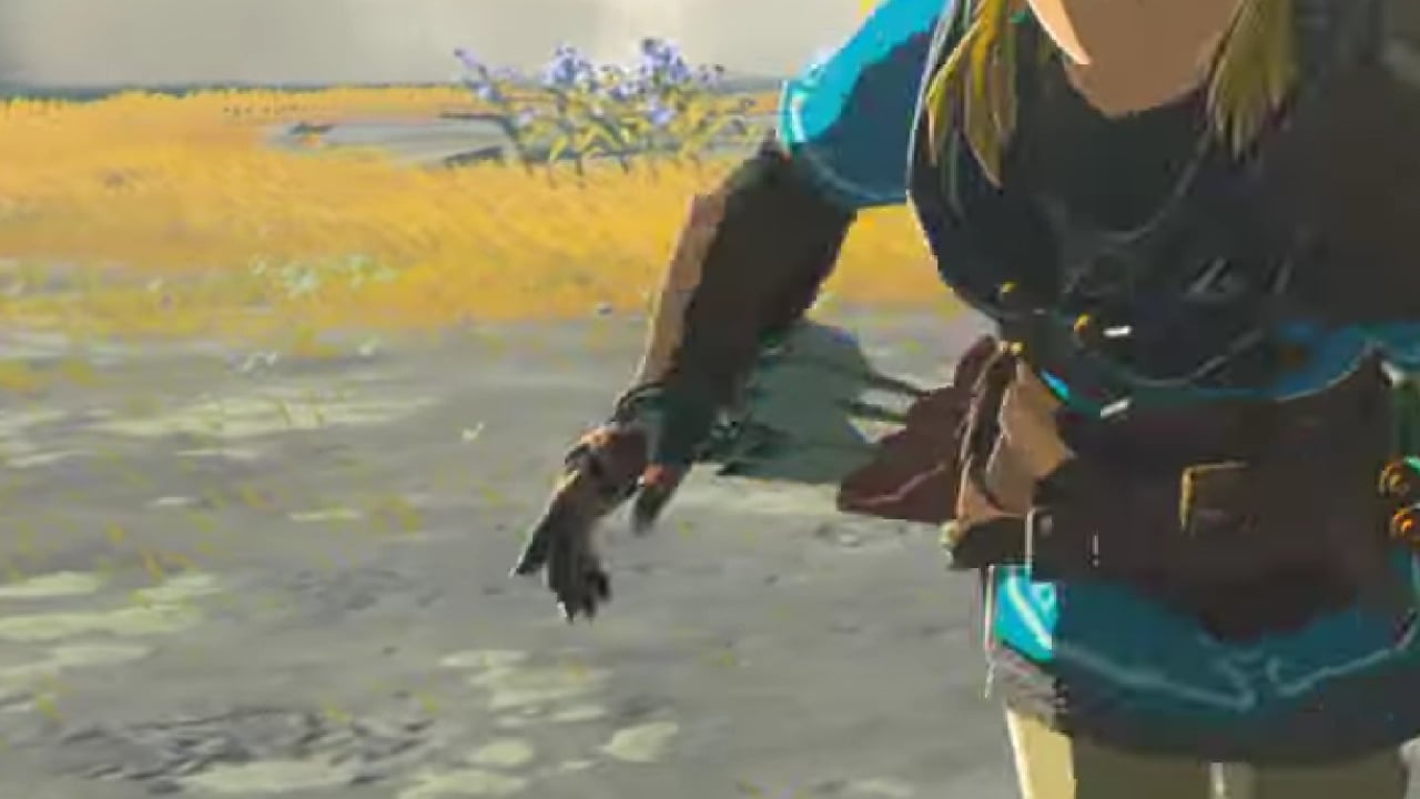 Zelda Tears of the Kingdom looks ace, but I hope it drops Breath