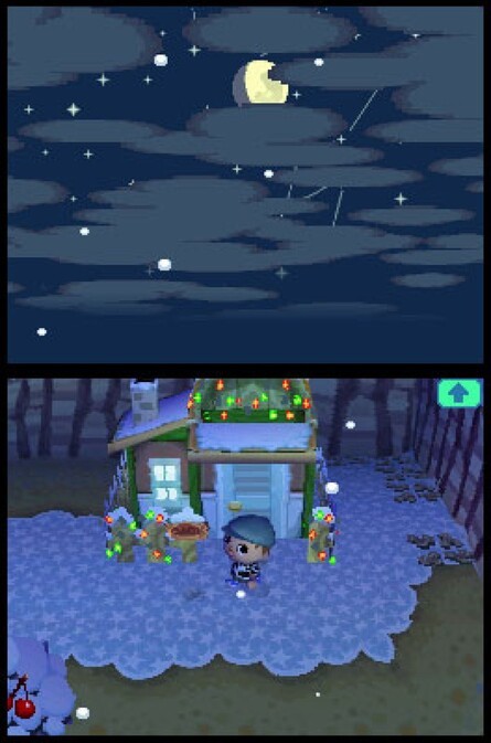 Animal Crossing: Wild World