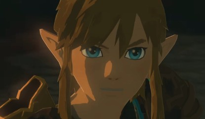 Should Link Have Voice Acting In The Next Zelda Game?