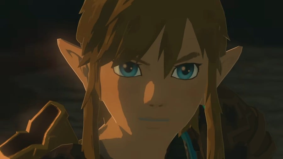Zelda: Tears of the Kingdom Link